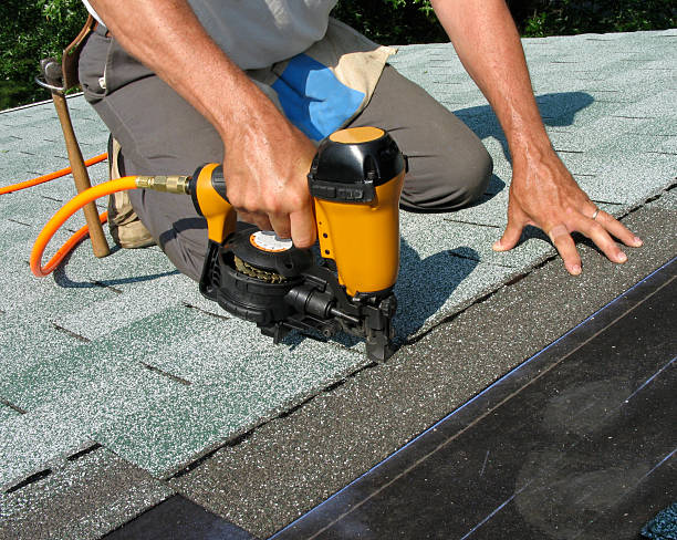 Best Roof Gutter Cleaning  in North Apollo, PA